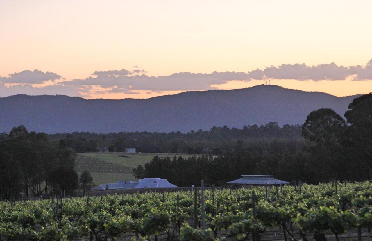 Blueberry Hill Vineyard Stay Rothbury Dış mekan fotoğraf